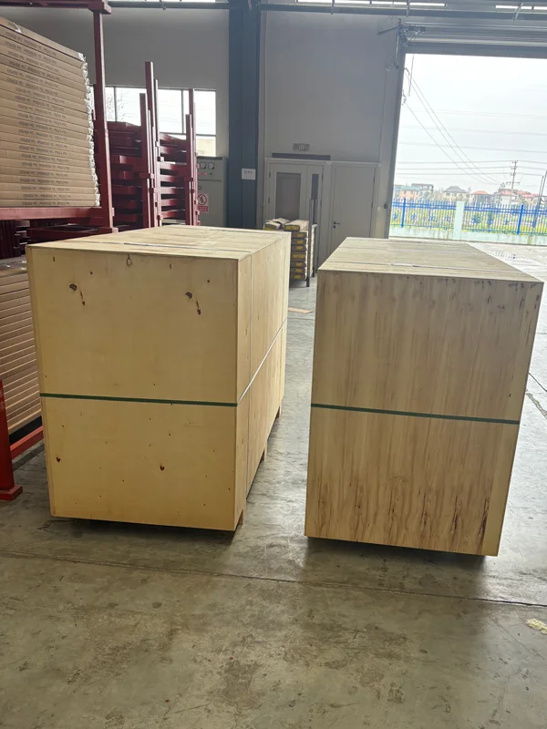 Package of Engineered Wood Doors to Iraq