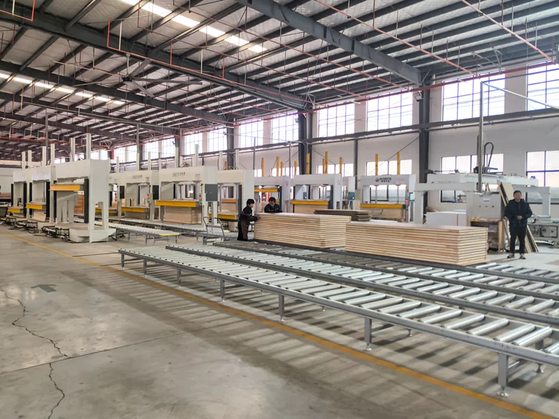 Production of Engineered Wood Door